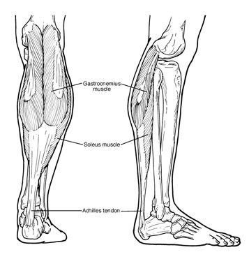 Equinus - Foot Health Facts