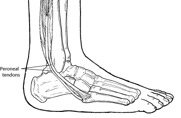 ankle sprain and achilles pain